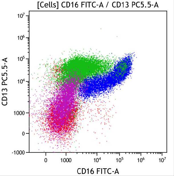 Casebook ClearLLab 10C, case 7, illustration M1-16, CD16 vs CD13, gated on Cells