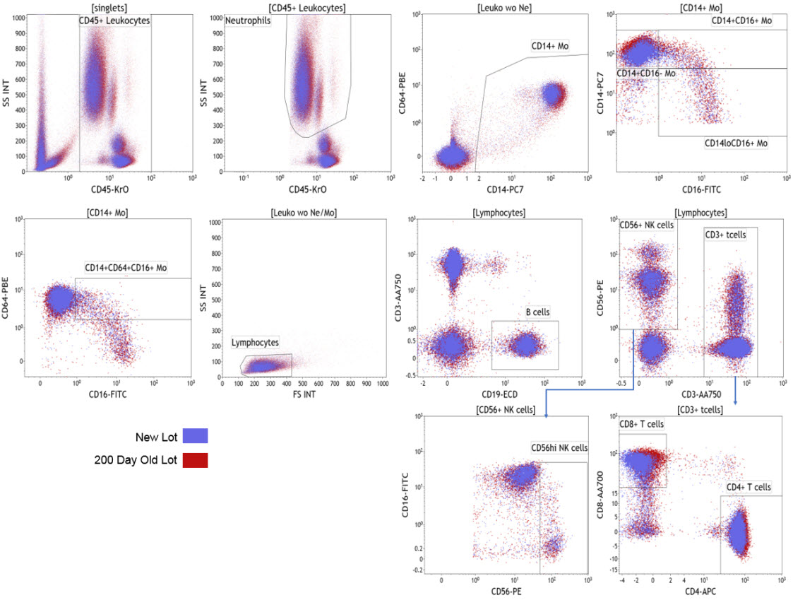 Comparison of staining using aged dry reagents versus a new manufacturing lot