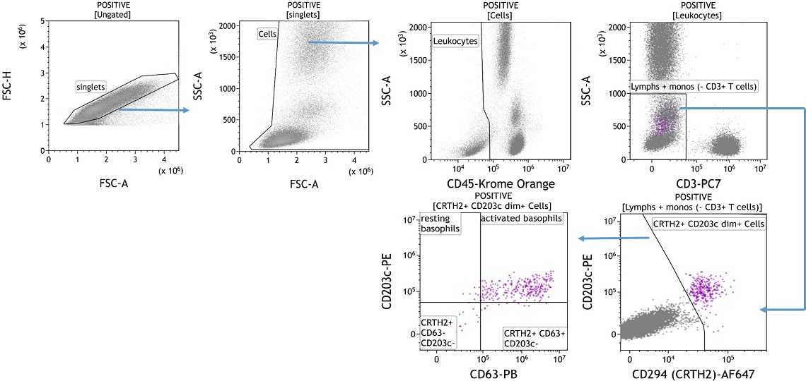 Analysis of Basophils for in vitro IgE-dependent Responses to Allergen in Sensitized Individuals