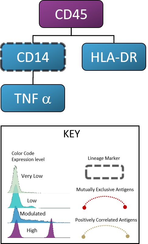 DURAClone IF Monocyte  Basic Panel Design Rules