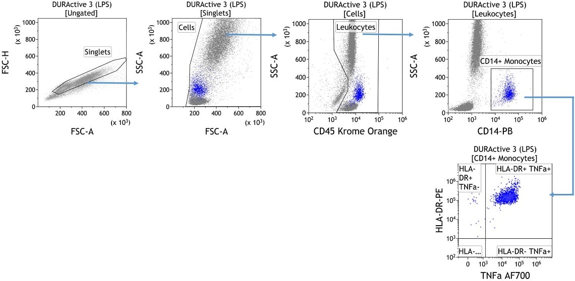 Identification TNF alpha Secreting Monocytes