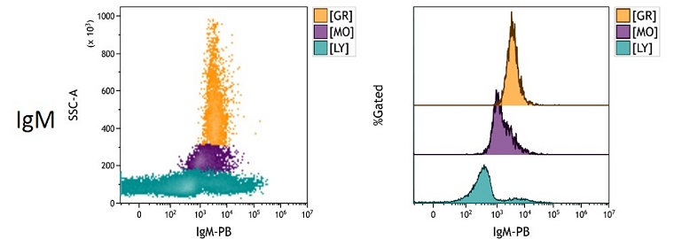 IgM Measured Antigen Density in peripheral blood