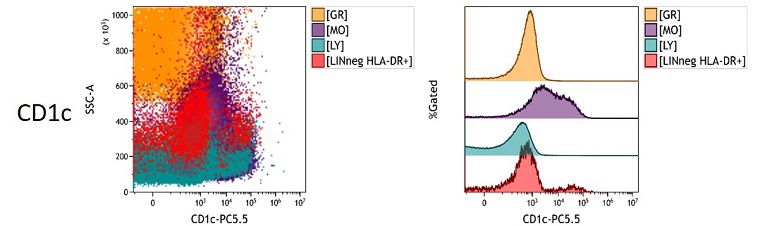 CD1c Measured Antigen Density in peripheral blood