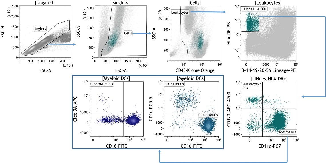 Identification of Plasmacytoid and Myeloid Dendritic Cells using the DURAClone IM Dendritic cell kit