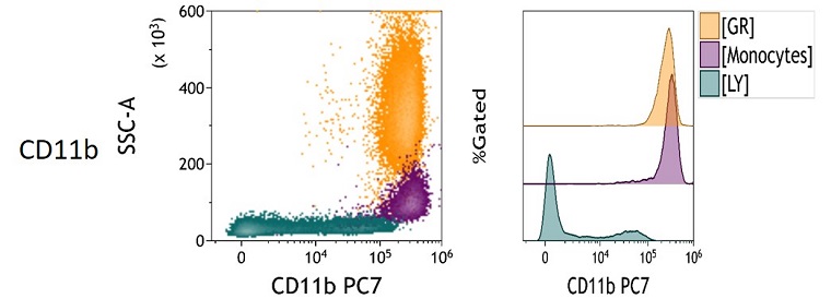 CD11b Measured Antigen Density in peripheral blood