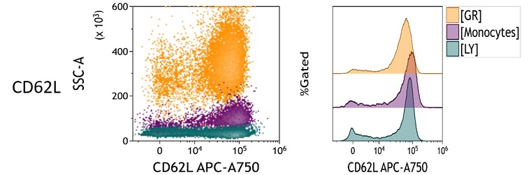 CD62L Measured Antigen Density in peripheral blood
