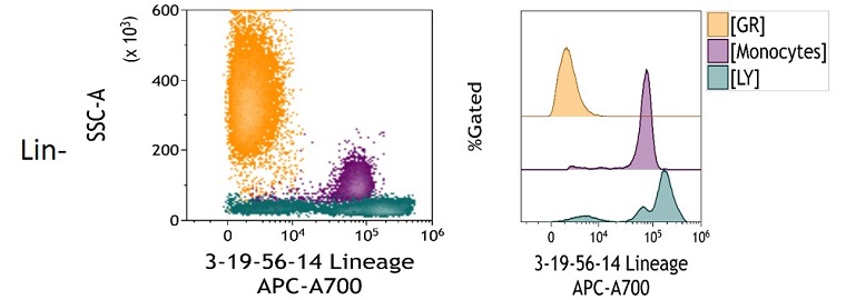 Lin neg Measured Antigen Density in peripheral blood