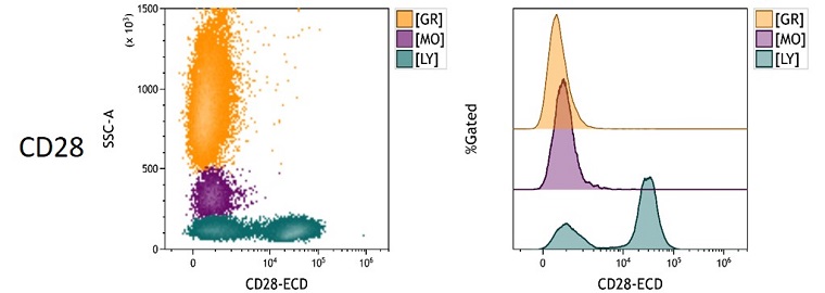 DURAClone IM T cell subsets antibody panel design principles