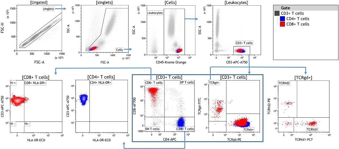 T Cell Receptor Expression on T Cell Subsets analyzed by flow cytometry using the DURAClone IM TCRs kit