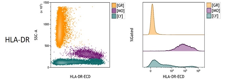 HLA-DR Measured Antigen Density in peripheral blood
