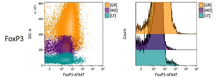 FoxP3 Measured Antigen Density in peripheral blood