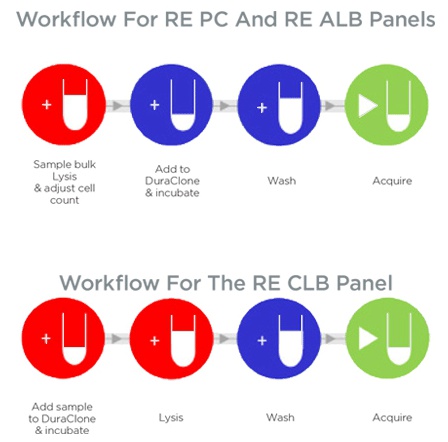 DURAClone Workflow RE-PC and RE-ALB panels