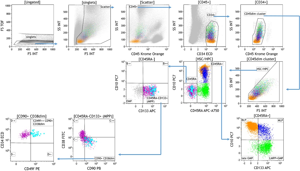 Example data showing gating strategy for DURAClone SC Hematopoietic Stem Cell Antibody Panel