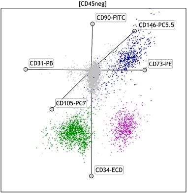Kaluza Analysis radar plot showing MSC populations in Fat Tissue using DURAClone SC Mesenchymal kit