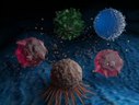 Immune cell profiling