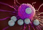 DURActive_Activation_kits