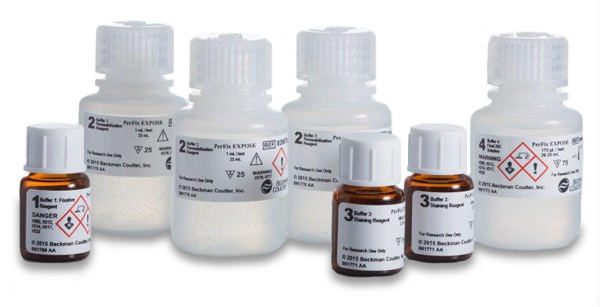 PerFix Expose Kit