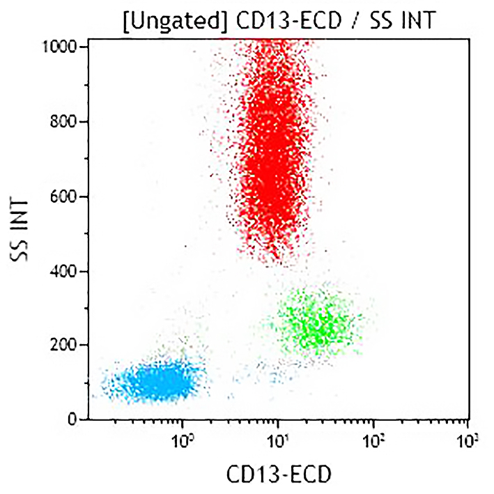 B36286 CD13-ECD CE dot plot (SSC vs ECD)