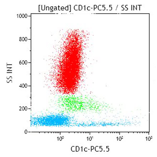 Антитела к CD1c для проточной цитометрии