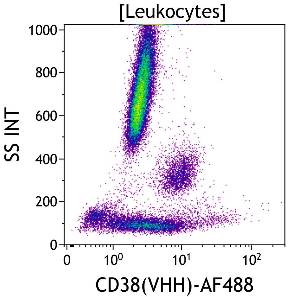Use of C94642 CD38(VHH)-AF488 shows uncompromised staining pattern of a lysed whole blood sample after pre-incubation with Daratumumab