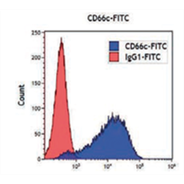 CD66c-FITC Antibodies for Flow Cytometry