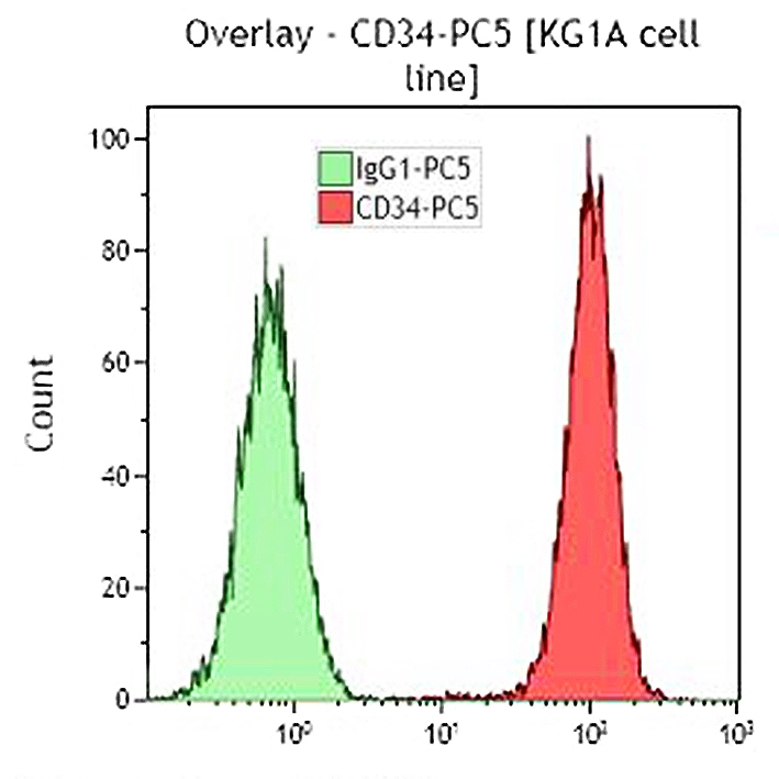 Антитела к CD34 для проточной цитометрии