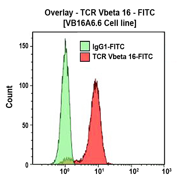 TCR Vbeta16-FITC