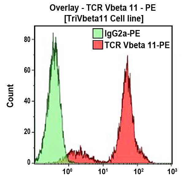 TCR Vbeta11-PE