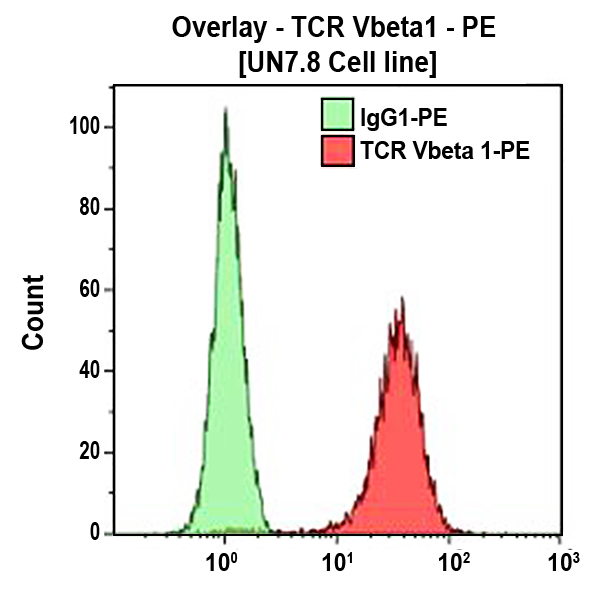 TCR Vbeta1-PE