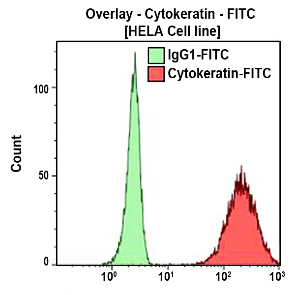Cytokeratin-FITC