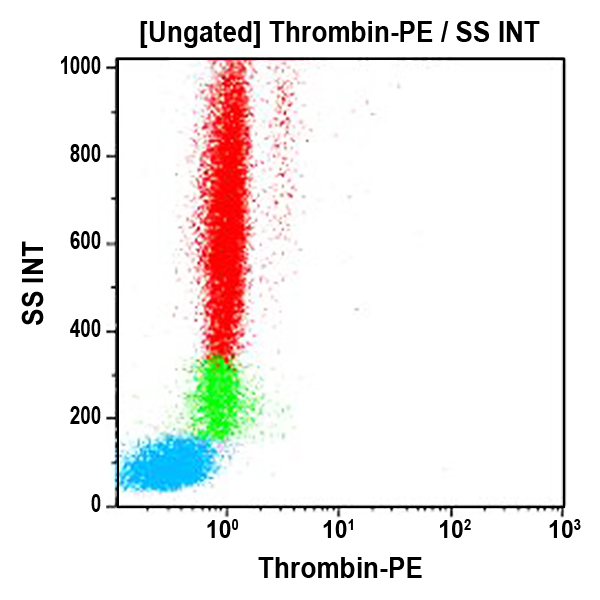 Thrombin Receptor-PE