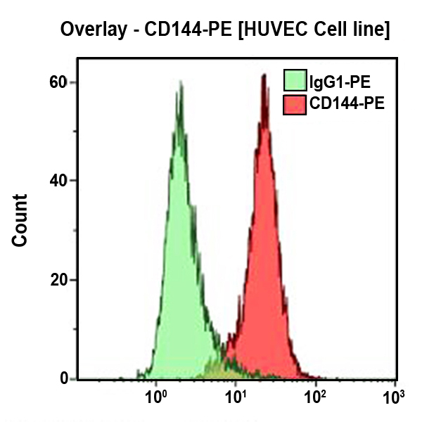 CD144 (VE-кадгерину), Антитела для проточной цитометрии