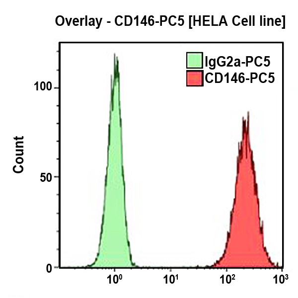 Антитела CD146-PC5 для проточной цитометрии