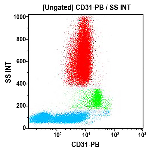 Антитела CD31-PB для проточной цитометрии