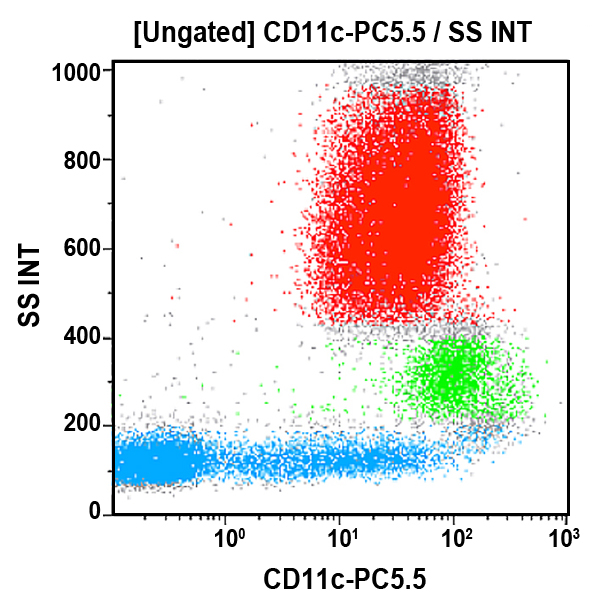 Anti-CD11c antibody for flow cytometry