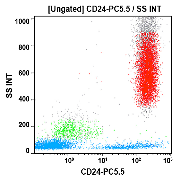 Anti-CD24 antibody for flow cytometry