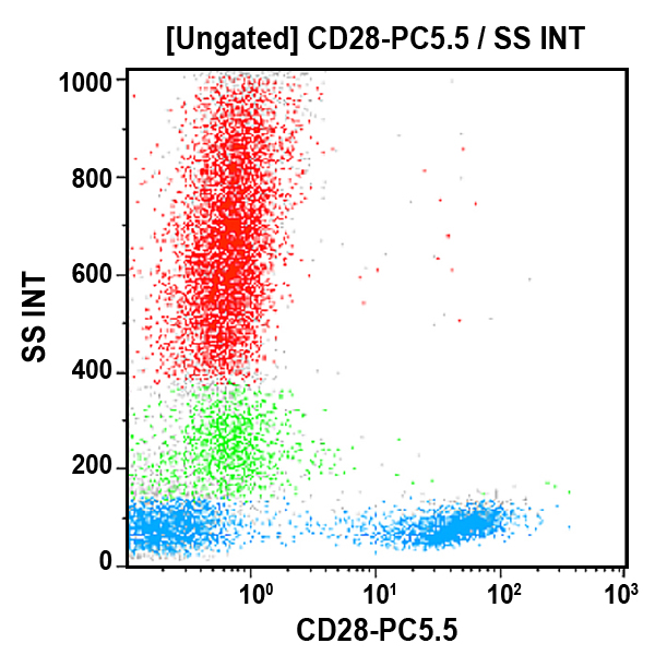 Антитела к CD28 для проточной цитометрии