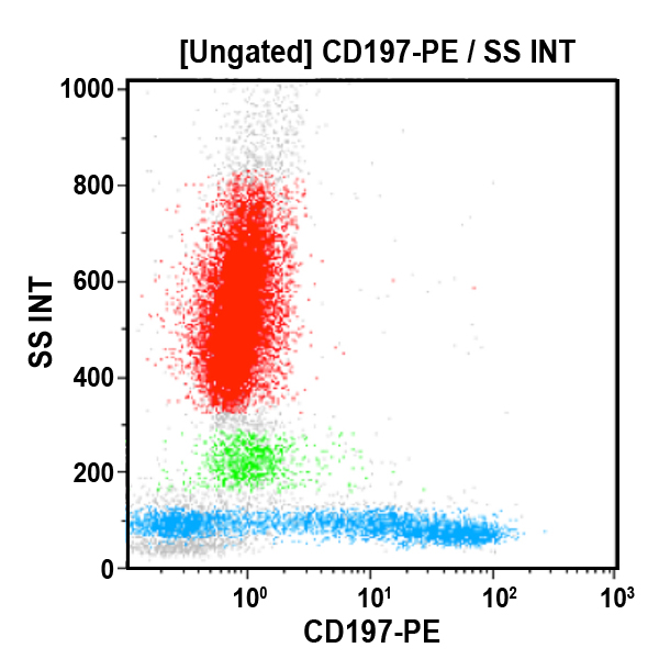 Антитела к CD197 для проточной цитометрии