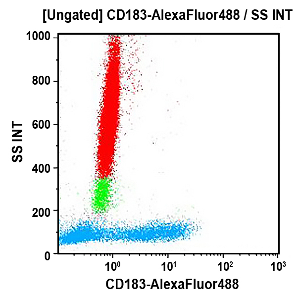 CD183-AF488