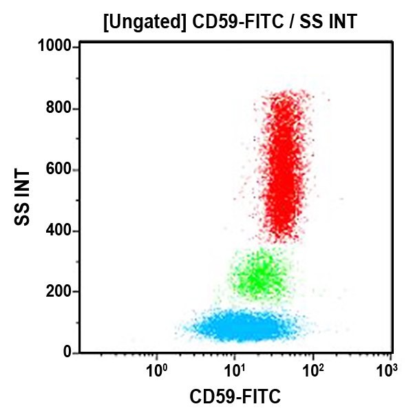 CD59-FITC