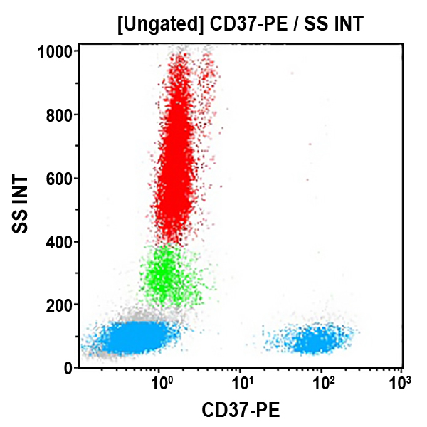 Антитела к CD37 для проточной цитометрии