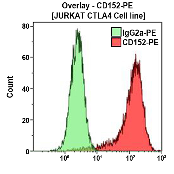 Антитела CD152-PE для проточной цитометрии