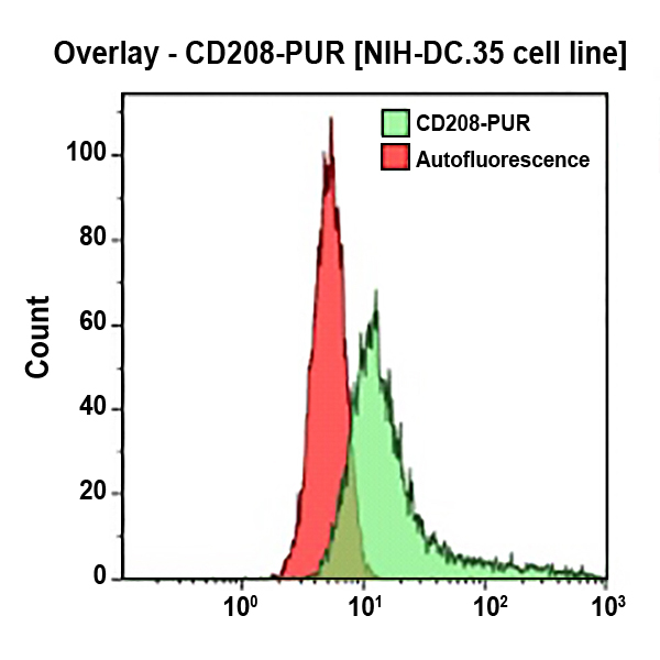 Антитела к CD208 для проточной цитометрии