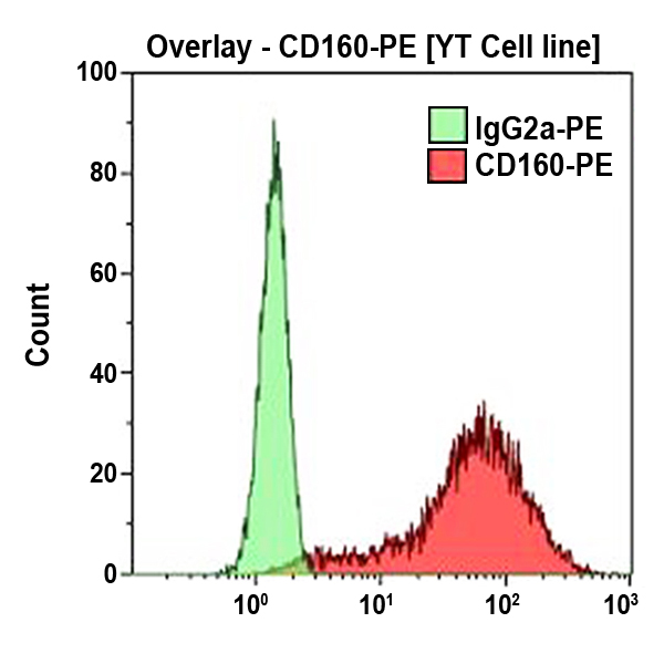 Антитела к CD160 для проточной цитометрии