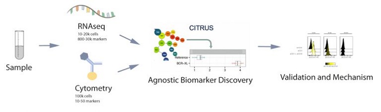 Analyze Multiple Single Cell Data Types to Discover More