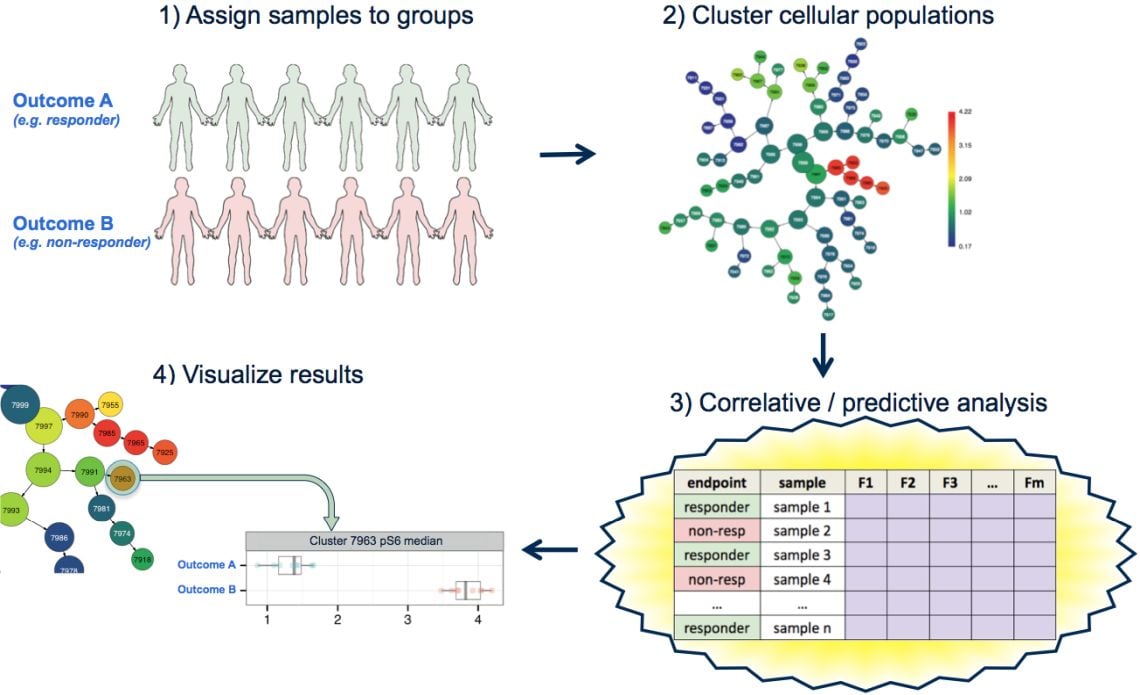 CITRUS unsupervised and supervised Machine Learning automatically find biomarkers