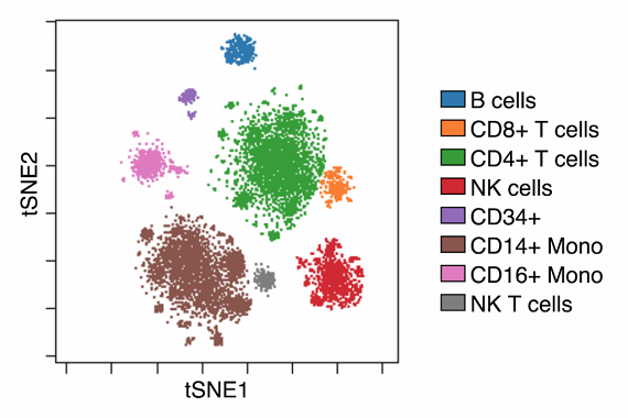 CITE-seq data renders well defined populations in viSNE