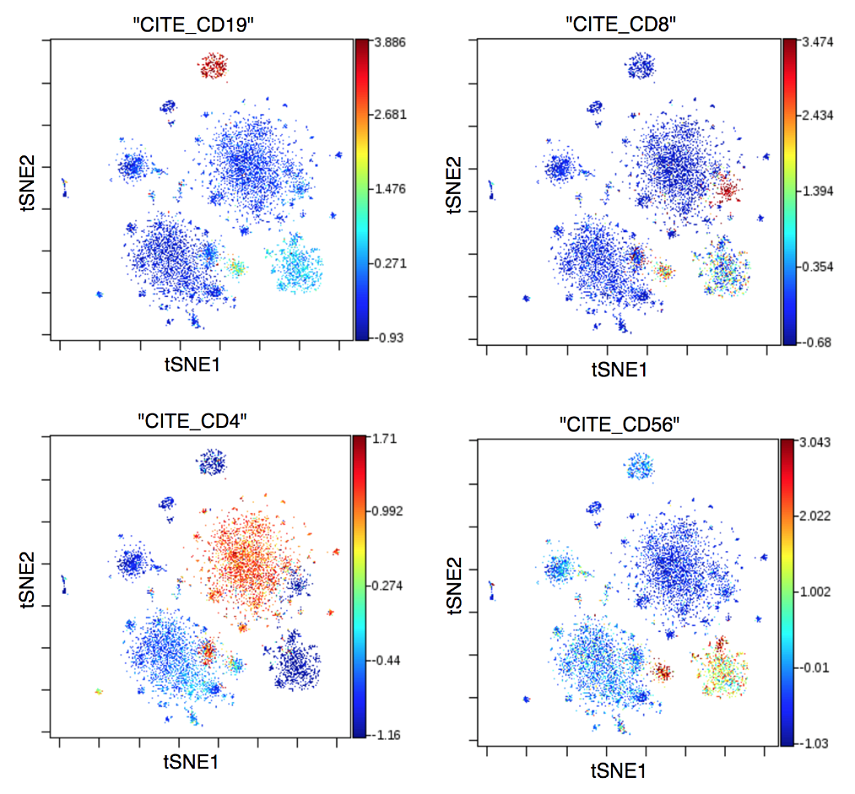 CITE-seq expression level indications by viSNE coloring