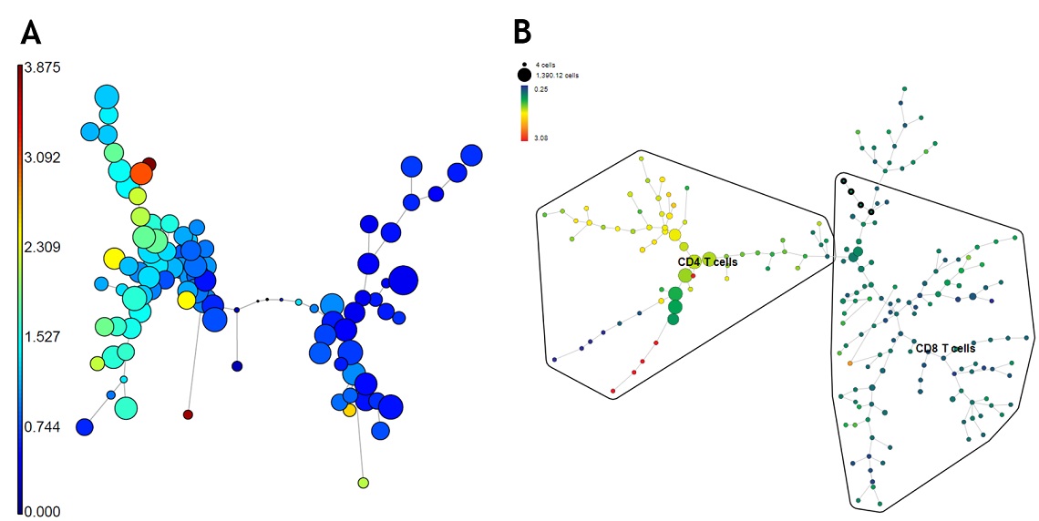 Examples of clustering methods using T cell and T cell memory marker expression analyis