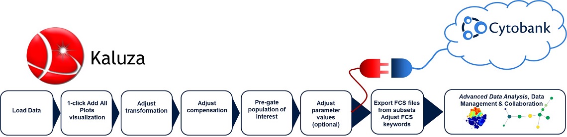 Detailed overview of the advanced analysis of flow cytometry data including pre-analysis steps